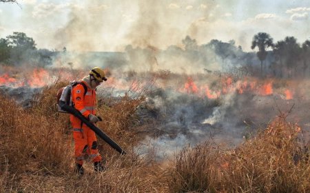 Após perdas de R$ 1,2 bilhão, Minas amplia articulação para enfrentar incêndios florestais na seca