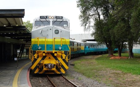 Trem de férias da Vale retoma viagens noturnas entre Minas Gerais e Espírito Santo em julho