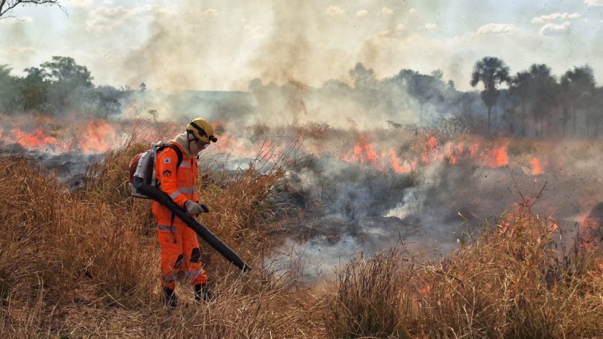 Após perdas de R$ 1,2 bilhão, Minas amplia articulação para enfrentar incêndios florestais na seca