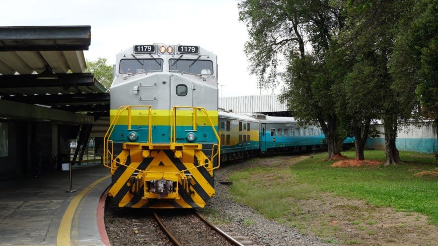 Trem de férias da Vale retoma viagens noturnas entre Minas Gerais e Espírito Santo em julho